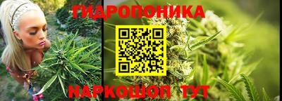 PSILOCYBIN Кизляр