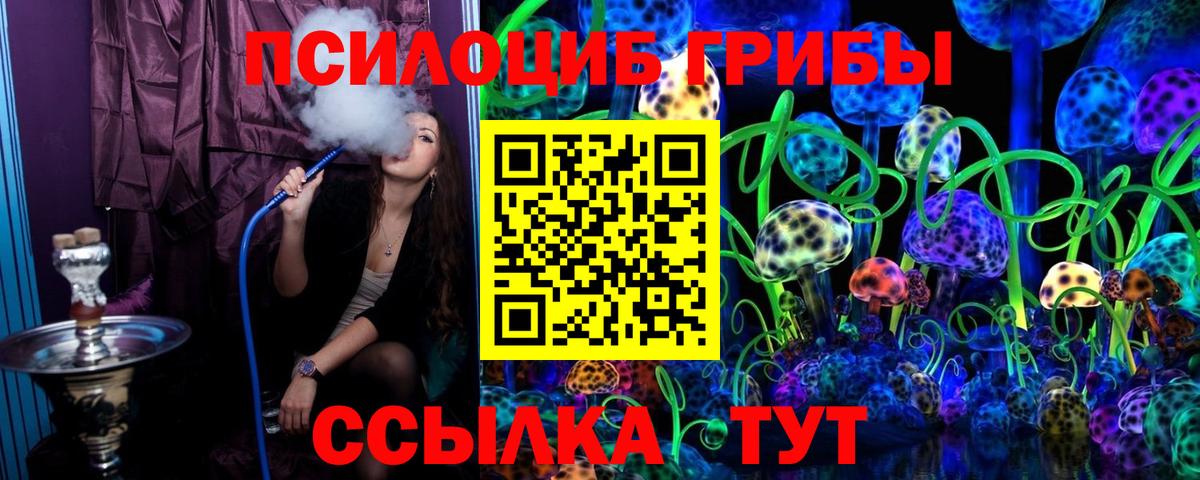 Подольск  Псилоцибиновые грибы мицелий  Вход с VPN 