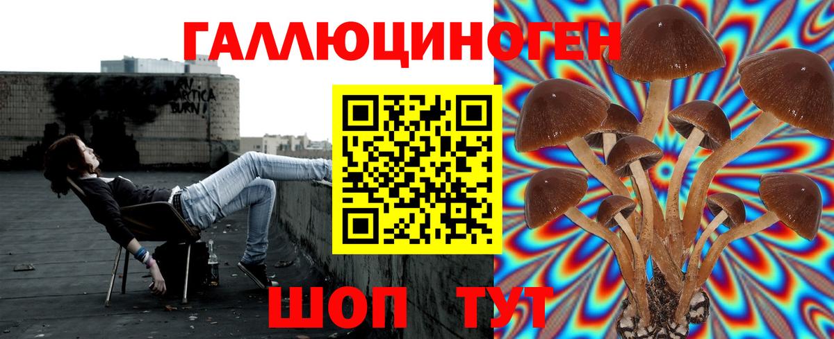 Псилоцибиновые грибы мухоморы Подольск